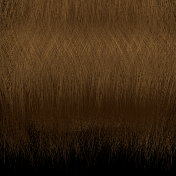 pp_hair_brown.png