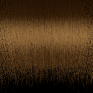 pp_hair_brown_straight.png